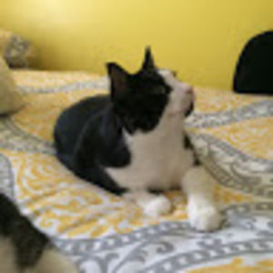 Meet your Posher, Emily